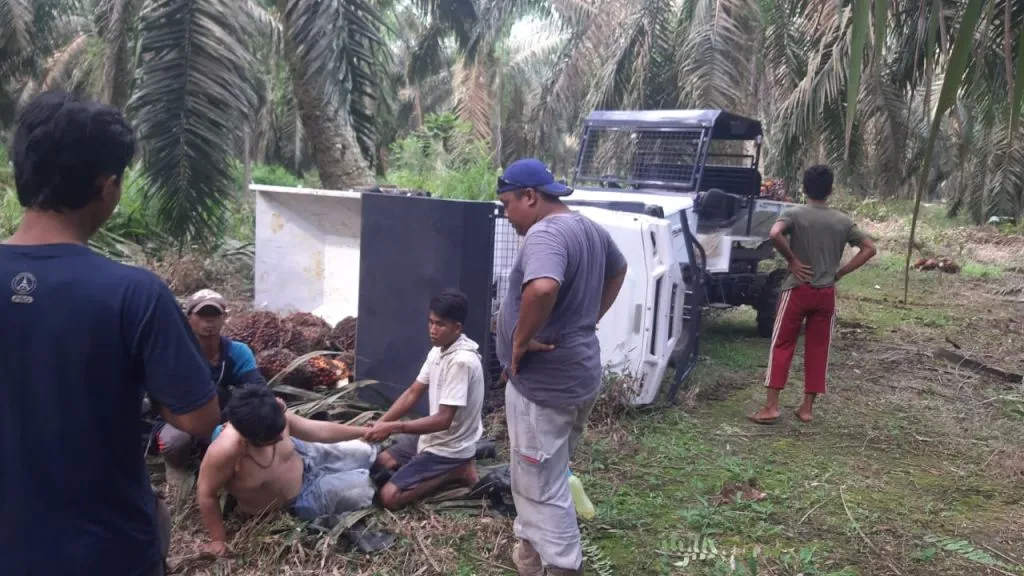 Tak Dilengkapi Pintu, Traktor Quick Seri QT-16 Terguling dan Menindih Pengemudi