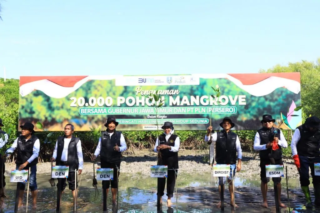 Peringati HLH, PLN Bersama Gubernur Jatim Konvoi dan Tanam Mangrove