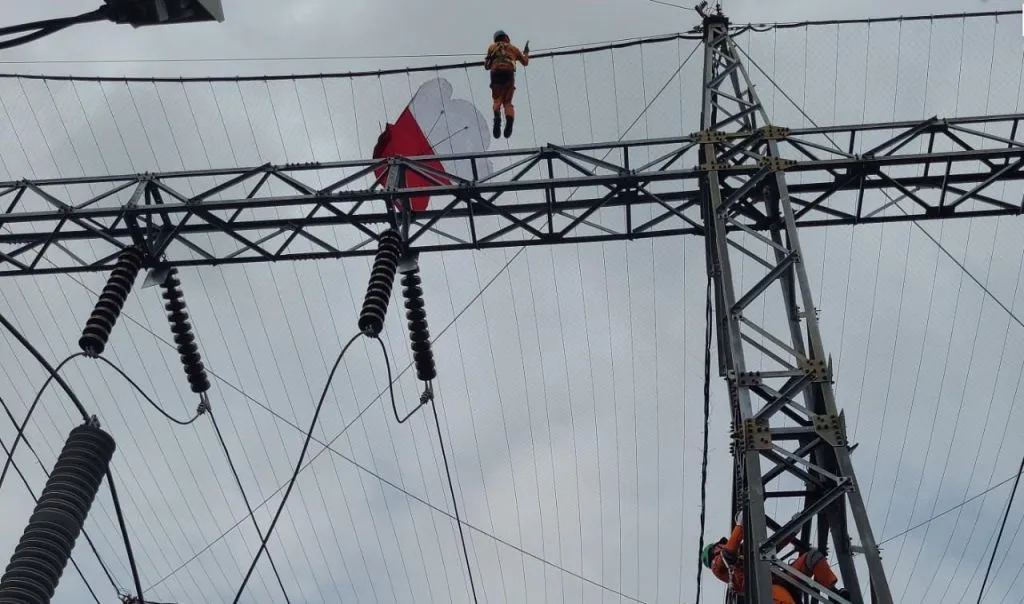 PLN UPT Bali juga Pasang Jaring-Jaring untuk Lindungi Gardu Induk dari Layang-Layang