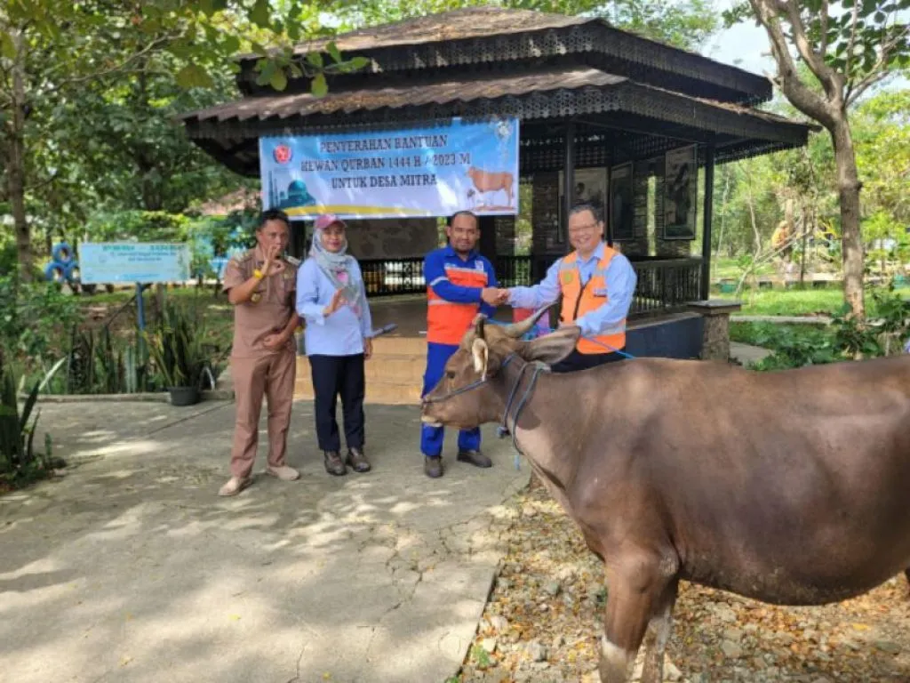 PT. Indocement Tunggal Prakarsa Bagikan Hewan Kurban Untuk Desa Mitra