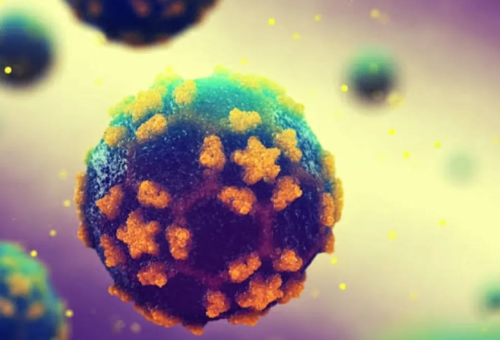 Echovirus-11, Virus Mematikan yang Menyerang Bayi
