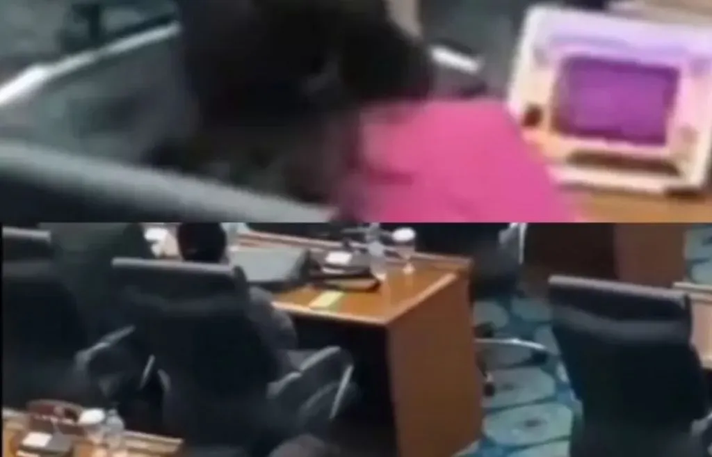 Viral, Video Seorang Wanita yang Diduga Anggota DPRD DKI Main Game saat Rapat