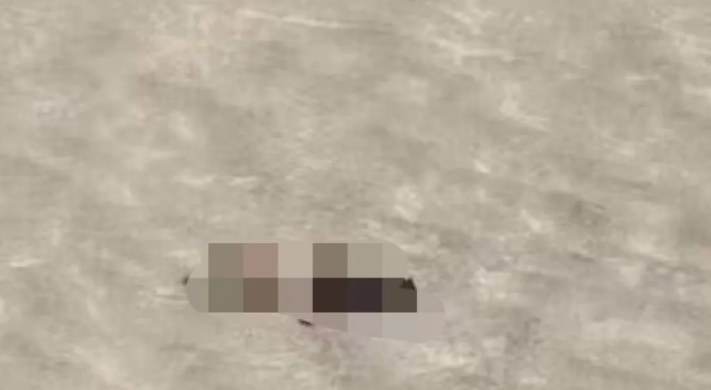 Masuki Cagar Alam tanpa Izin, 3 Orang Tewas dan 1 Hilang