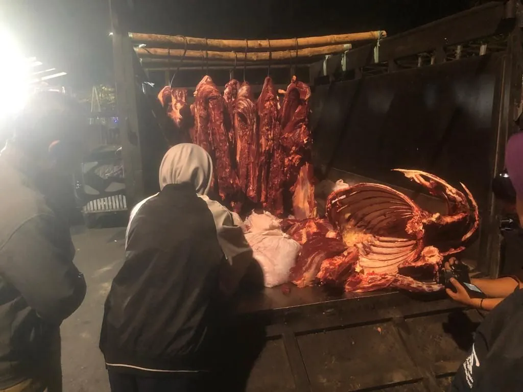 Pemkot Surabaya Temukan Pengiriman Daging Tanpa Surat Resmi