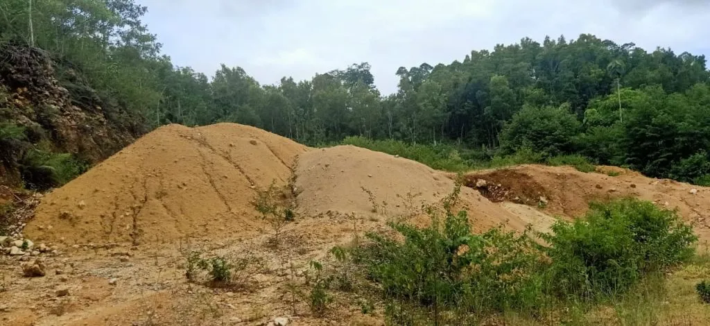 Produksi Pasir Kucing Kabupaten Blitar, Terbaik Dalam Negeri