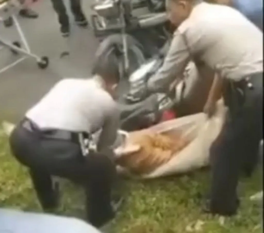 Naik Motor lalu Nabrak Becak, Kepala Ibu Bidan Terlepas dari Badan