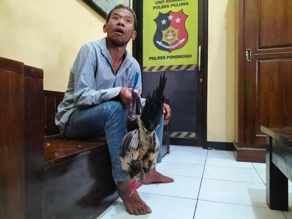 Tertangkap Curi Ayam, Warga Ponorogo Ini Nyaris Dihakimi Massa