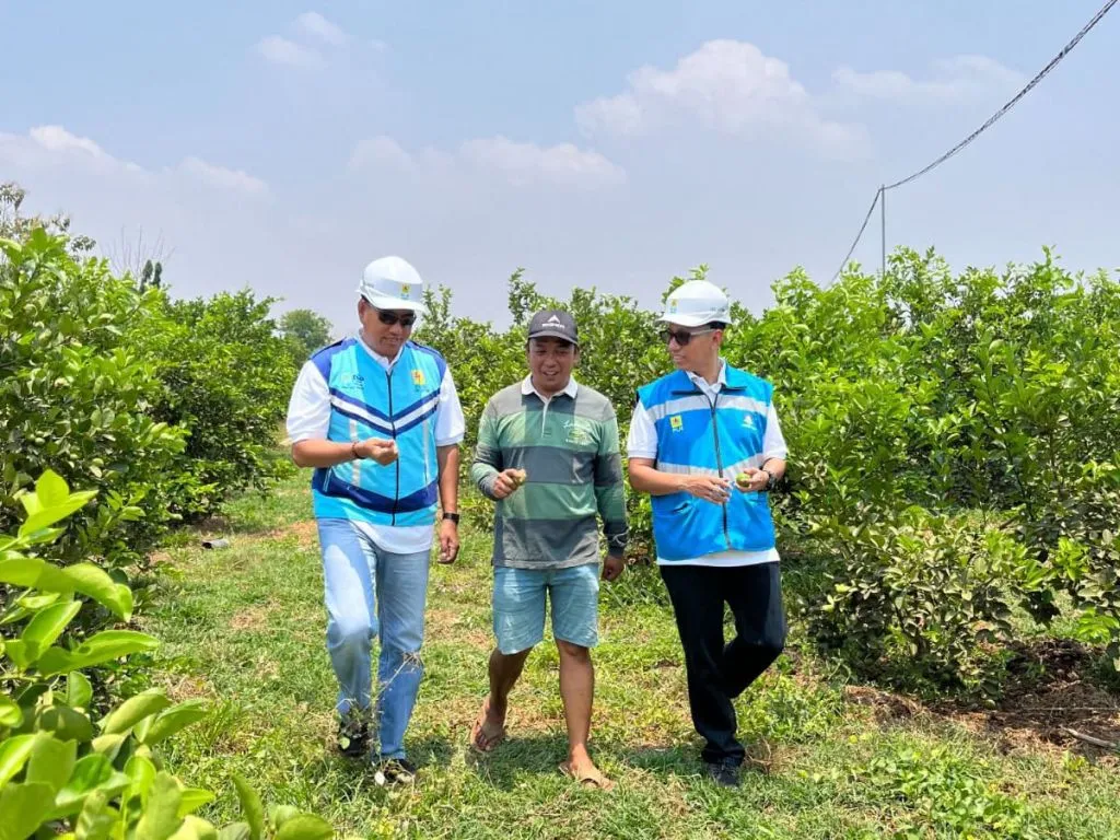 Manfaatkan Electrifying Agriculture, Hemat Biaya Produksi Hingga 30%
