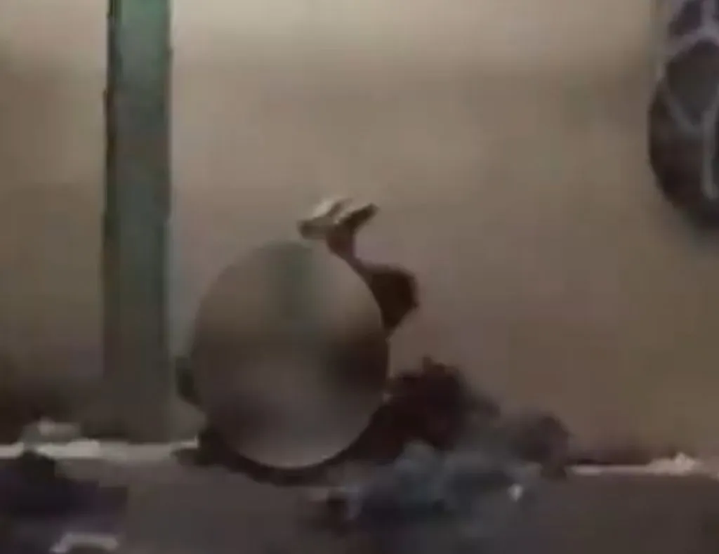 Viral Sejoli Berhubungan Intim di Depan Rumah Pinggir Jalan Raya di Kota Bandung