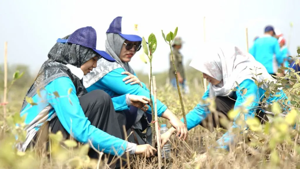 PLN Lakukan Penanaman 1100 Mangrove Di Kota Probolinggo