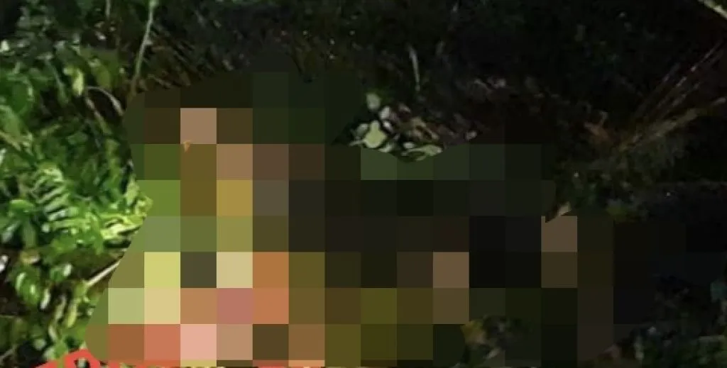 Sopir Truk Ditemukan Bersimbah Darah di Kebun Sawit