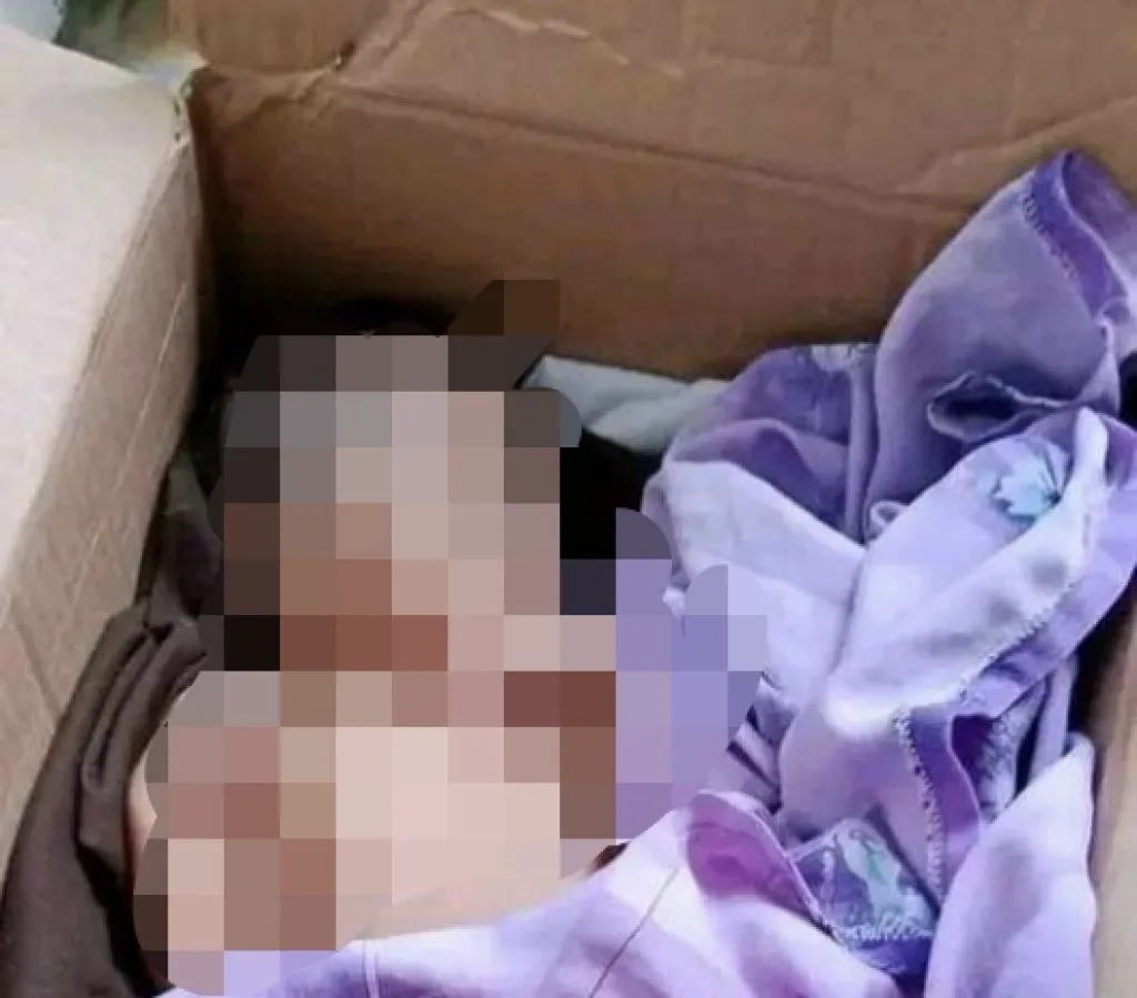 Bayi Dalam Kardus Dibuang di Rumah Kosong