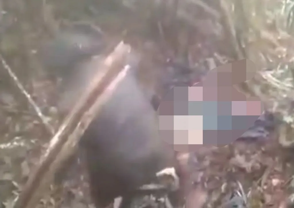 KKB Pamerkan Video Mutilasi Pria Tak Berdaya