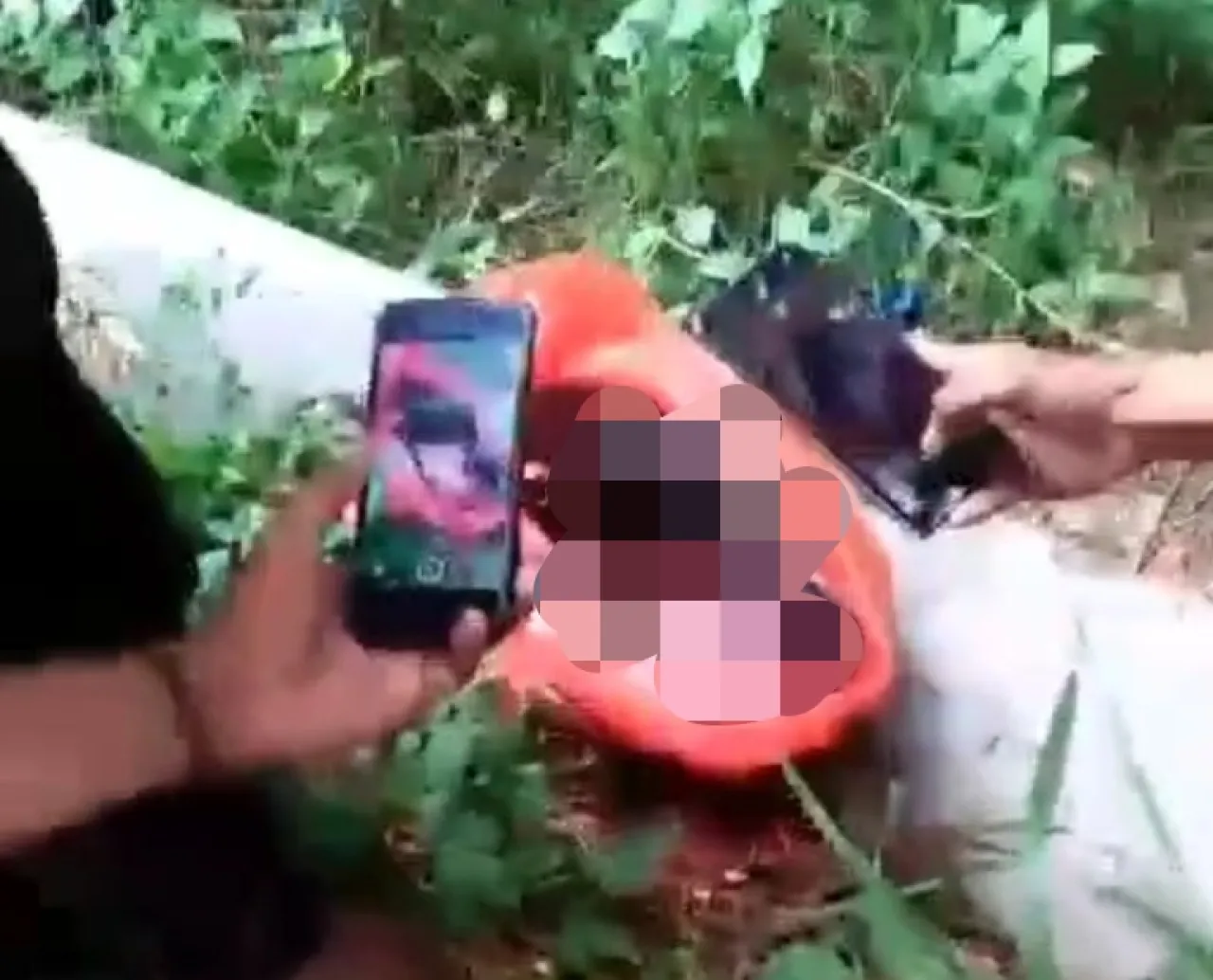 Bayi Masih Ada Ari-arinya, Ditaruh Dalam Kardus lalu Dibuang di Pinggir Jalan