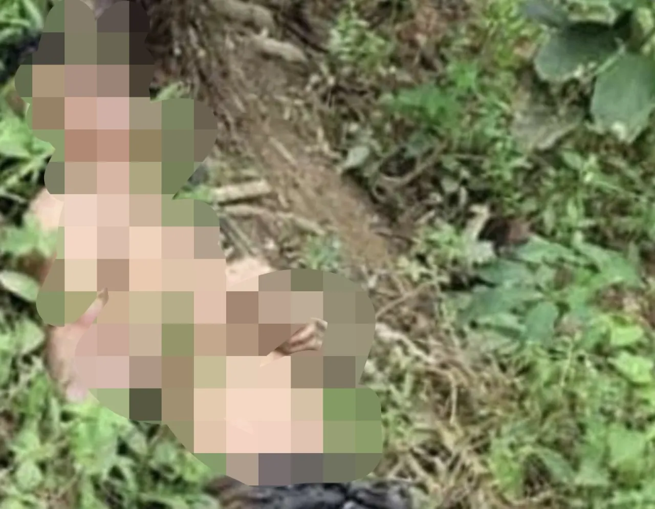 Mayat Pria tanpa Identitas Tergeletak di Kebun Karet