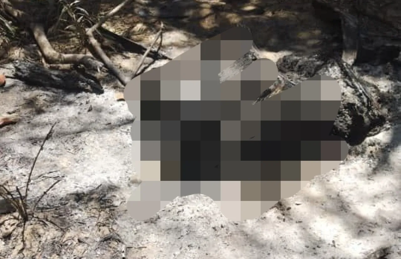 Mayat Pria Hangus Ditemukan di Kebun Kelapa Sawit
