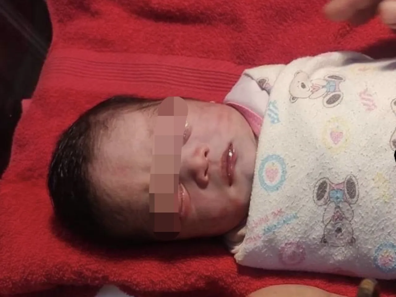 Bayi Masih Merah dan Ari-Ari Belum Lepas, Ditemukan di Kebun Sawit