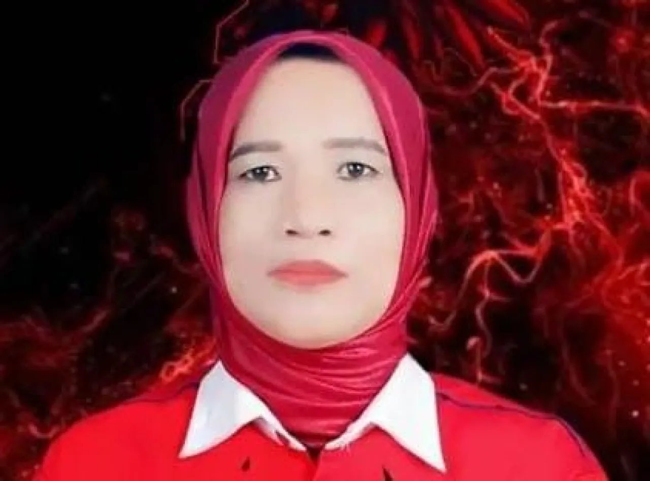 Partai Keadilan Dan Persatuan Kabupaten Banyuasin Belum Jalankan Mesin Partai
