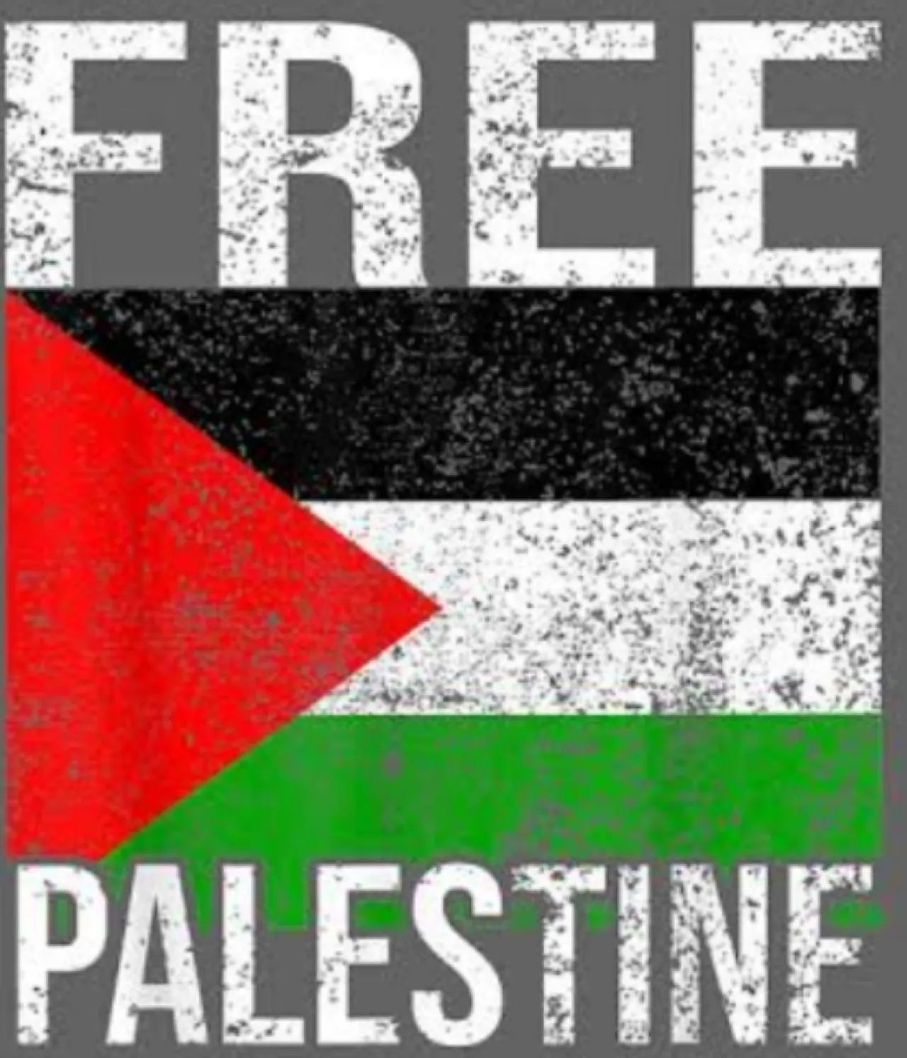 Majelis Umum PBB Dukung Palestina Jadi Anggota Penuh
