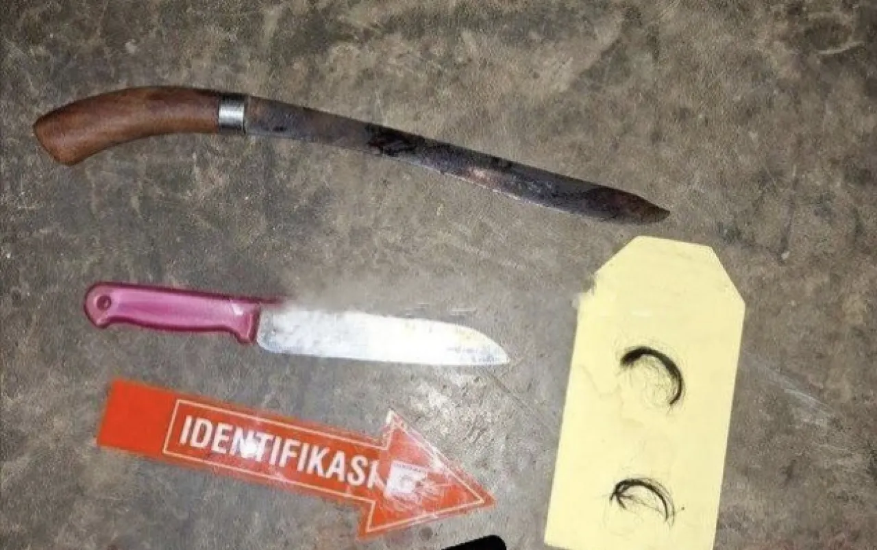 Diduga Sakit Jiwa, Winarno Bacok Ibu Kandung tanpa Alasan Jelas