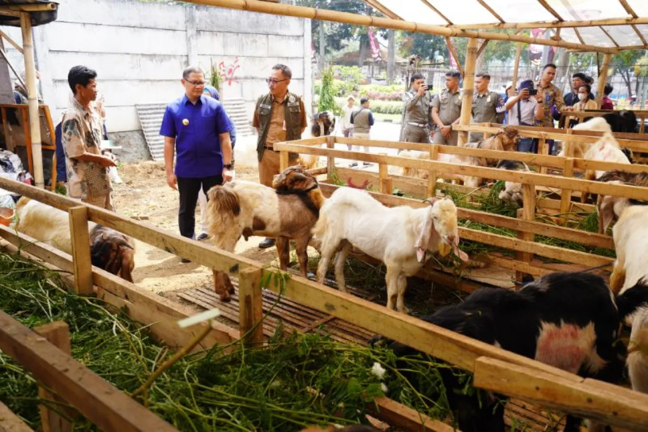Pj. Wali Kota Batu Himbau Masyarakat Beli Hewan Kurban yang Sehat