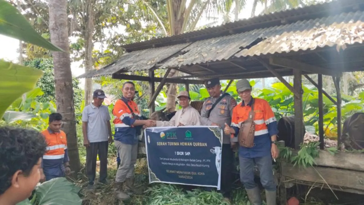 PT. Pelsart Tambang Kencana Serahkan Hewan Kurban