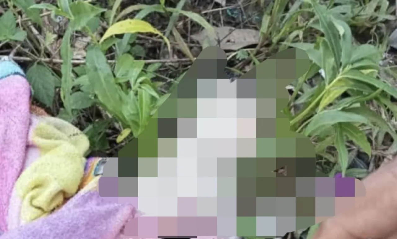Mayat Bayi Masih Ada Tali Pusarnya, Ditemukan di Kebun Karet
