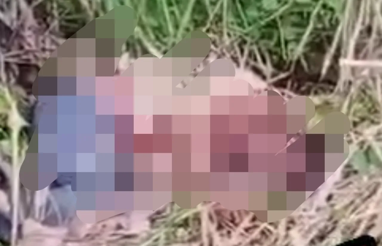 Diduga Korban Pembunuhan, Jasad Korban Ditutup Terpal di Tepi Jalan Tanjung Api-Api