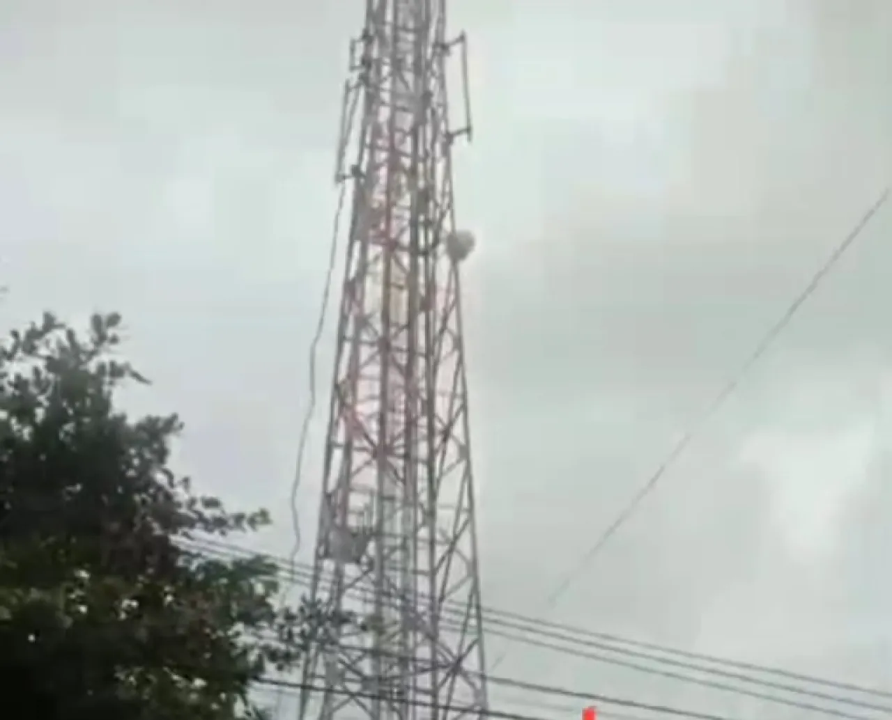 Karyawan Provider Internet Tewas usai Terjatuh dari Tower