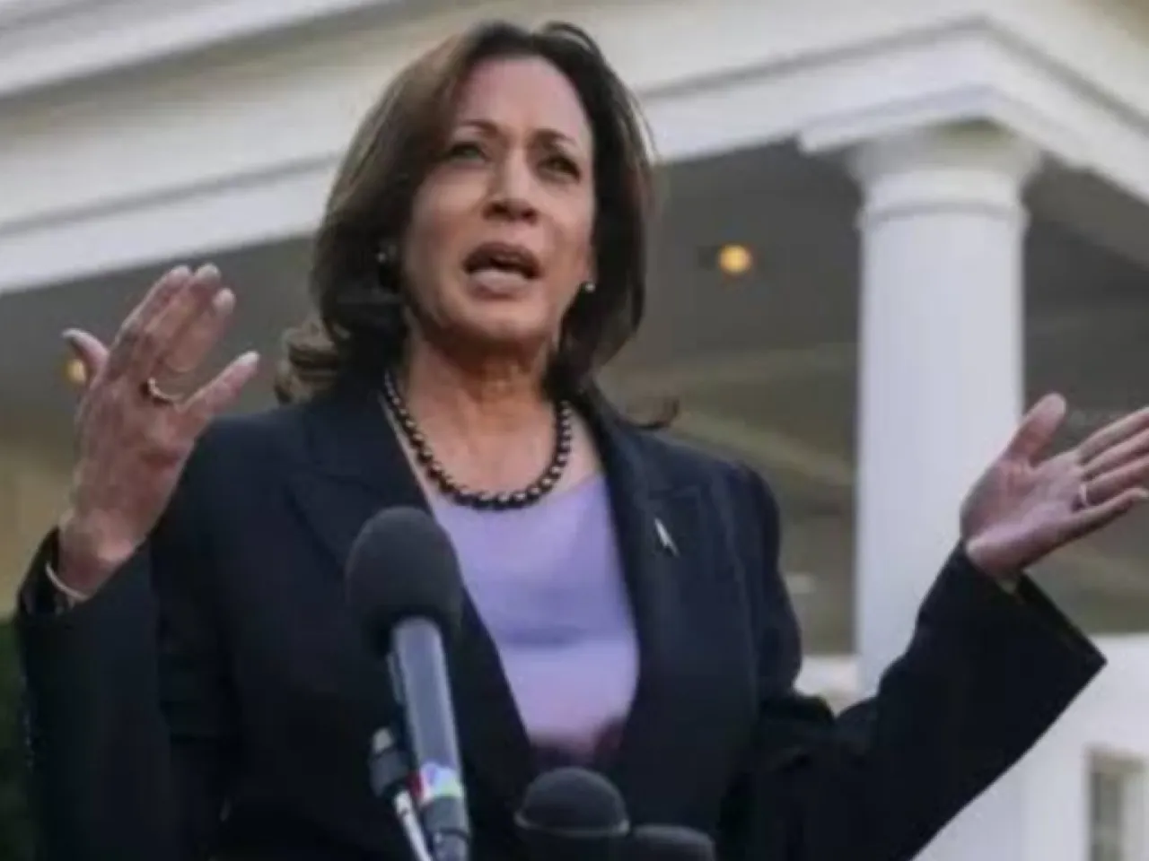 Joe Biden Mundur, Kamala Harris Maju