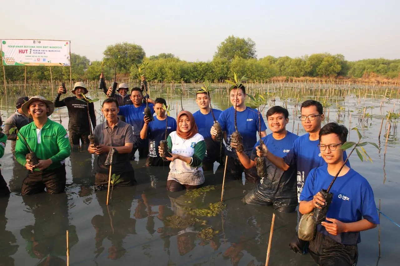 Penanaman 3000 Bibit Mangrove Tandai Peringatan HUT ke-1 KRM Surabaya