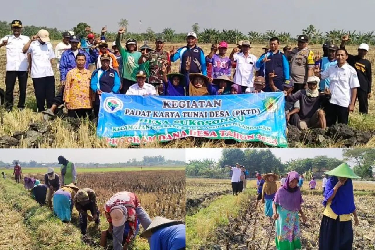 Menghadapi Kemarau, Petani Desa Sukosongo Lamongan Padat Karya