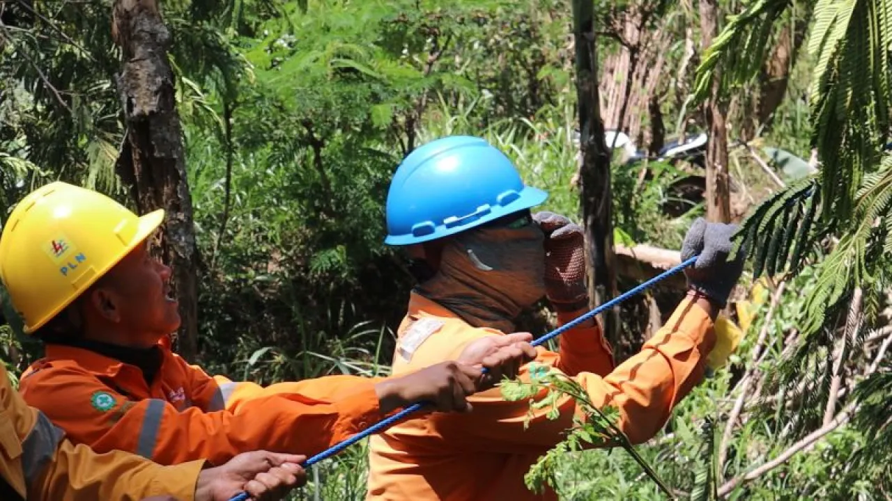 PLN Rabas Pohon Sekitar Jaringan SUTT untuk Pertahankan Zero Kritis Pada Jalur Right Of Way