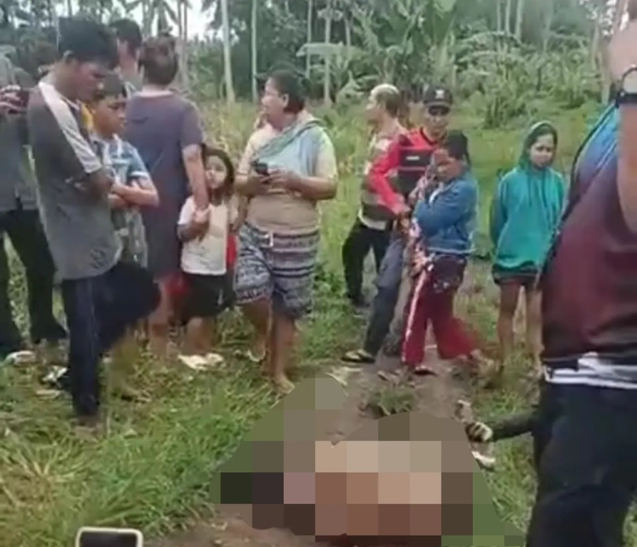 Mayat tanpa Identitas dengan Luka Tikaman, Ditemukan di Perkebunan