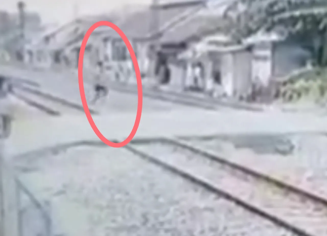 Viral Video Pria di Pemalang Nekat Tabrakkan Diri ke KA, Tubuhnya Hancur Tepotong-potong