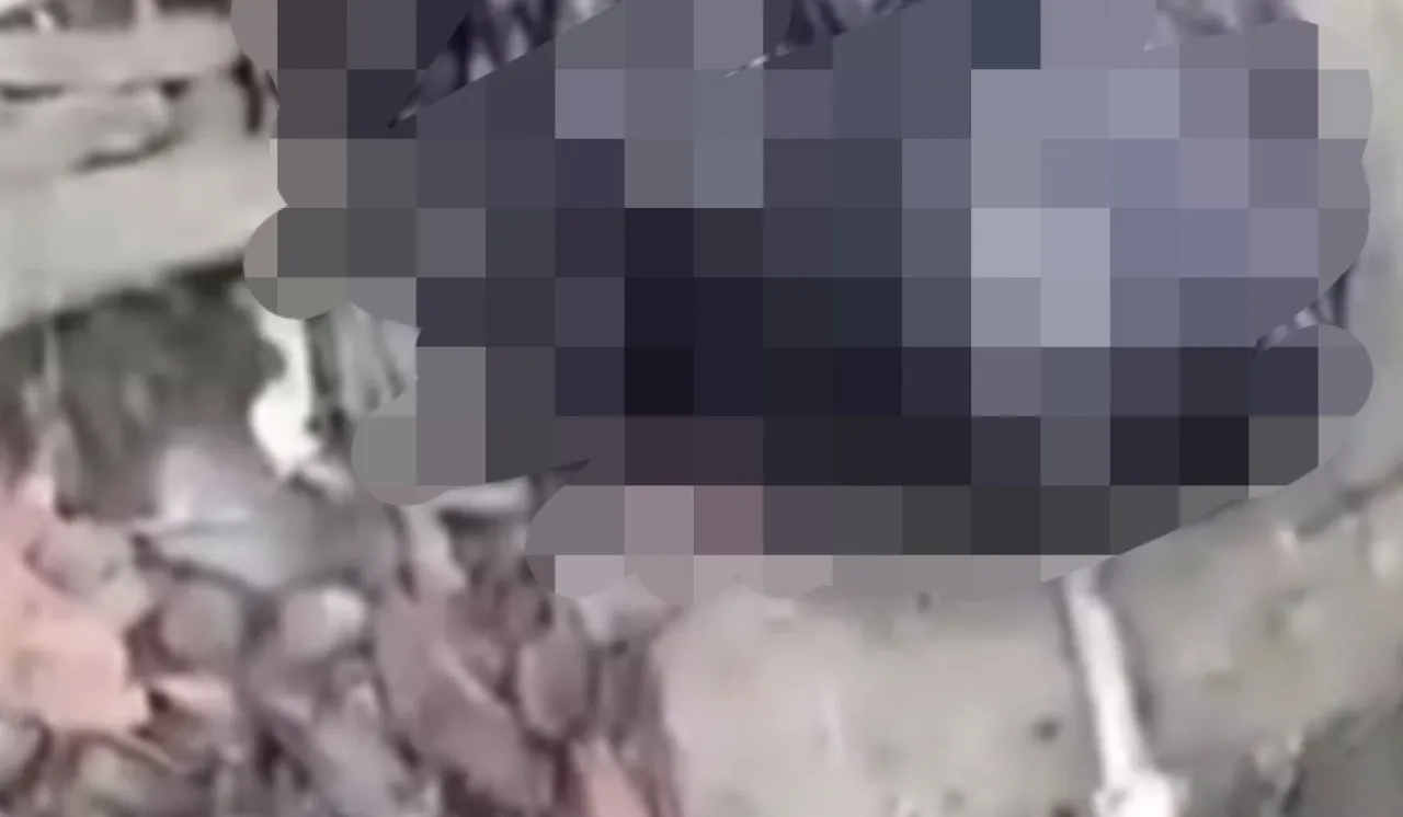 Bayi Malang Dibuang dalam Plastik, Identitas Ibu Terungkap