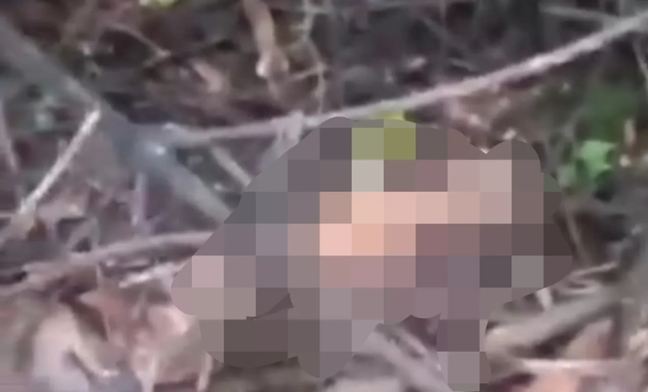 Mayat Wanita tanpa Identitas Ditemukan di Hutan Lindung Kabupaten Batang