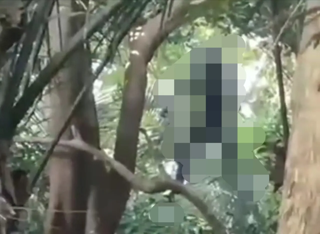 Mayat Pria Ditemukan Tergantung pada Pohon di Punden Masin Kudus