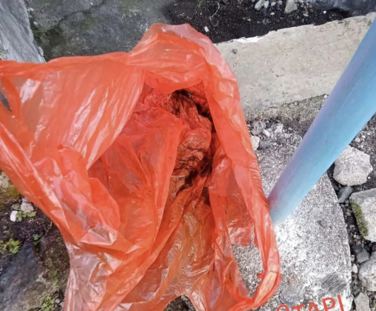 Bayi Dibungkus Tas Plastik lalu Dibuang ke Selokan