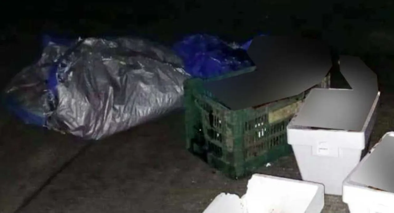 Tiga Boks Es Berisi Jenazah Dibuang di Pinggiran Kota