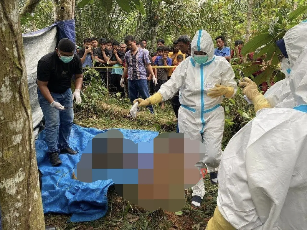 Mayat Pria di Kebun Karet Gegerkan Warga Desa 