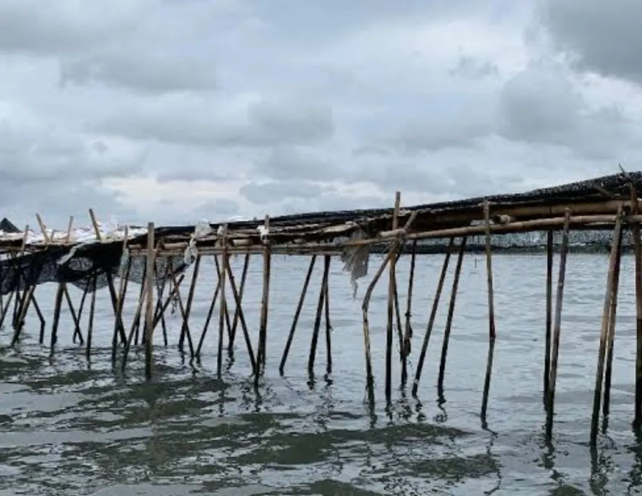 Penerbit dan Pemilik SHM-SHGB Pagar Laut Sudah Teridentifikasi