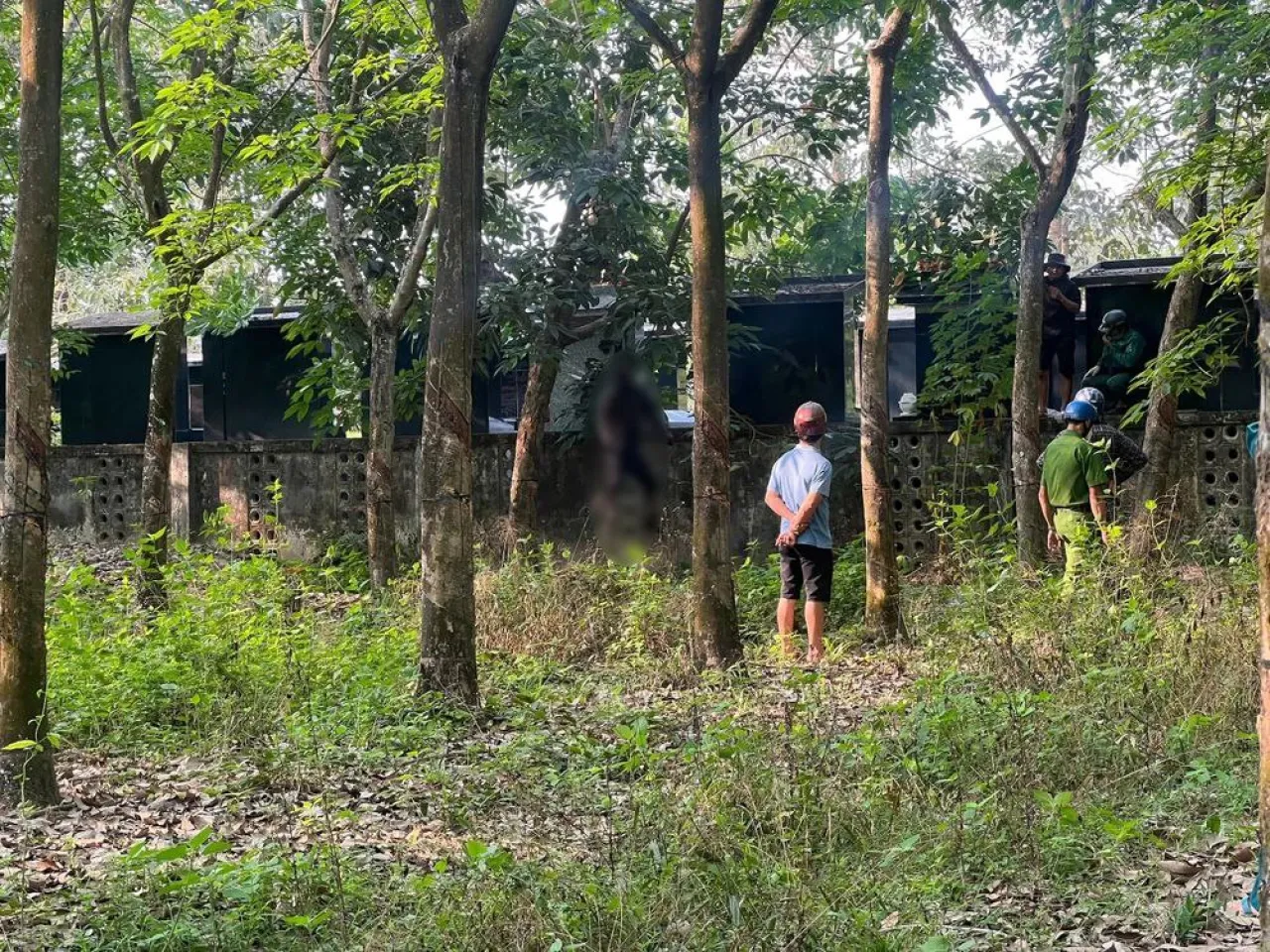Antar Anak Sekolah, Pria Ini Temukan Jasad Menggantung di Hutan Karet