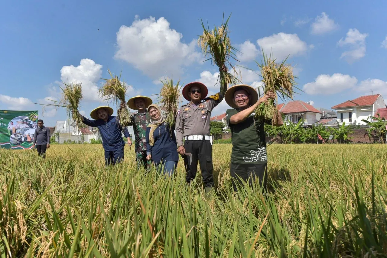 Pemkot Surabaya dan Kodim 0830 Gelar Panen Raya Padi Serentak Nasional
