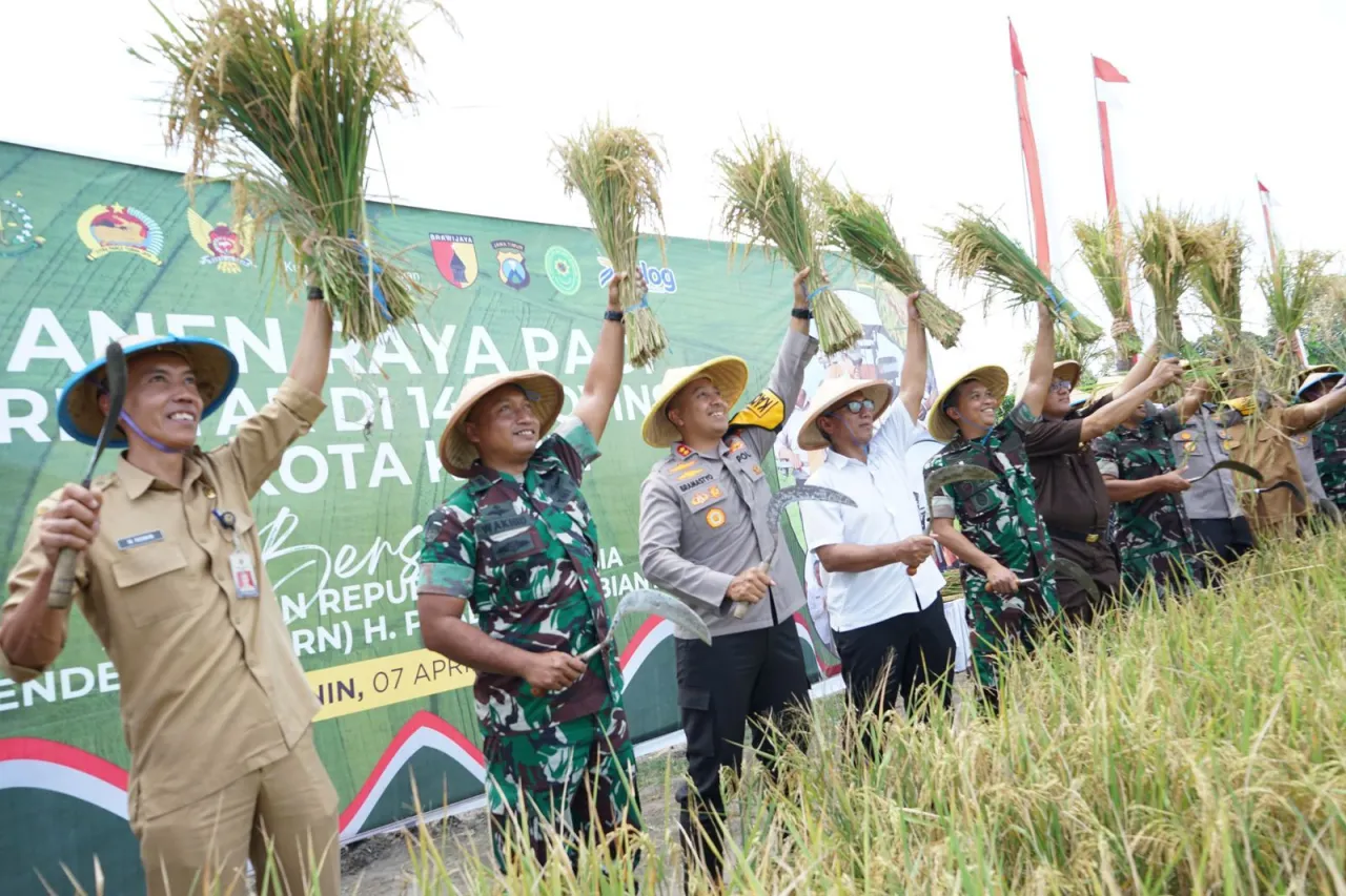 Panen Padi Serentak 14 Provinsi bersama Presiden, Gus Qowim: Perkuat Ketahanan Pangan dan Sinergi
