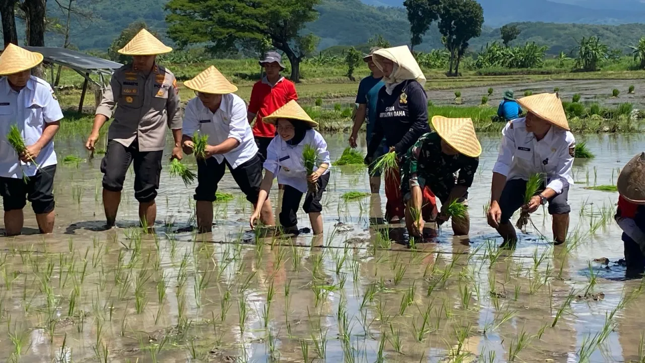 Gerakan Tanam Padi Serentak, Komitmen Pemkot Kediri Percepatan Swasembada Pangan