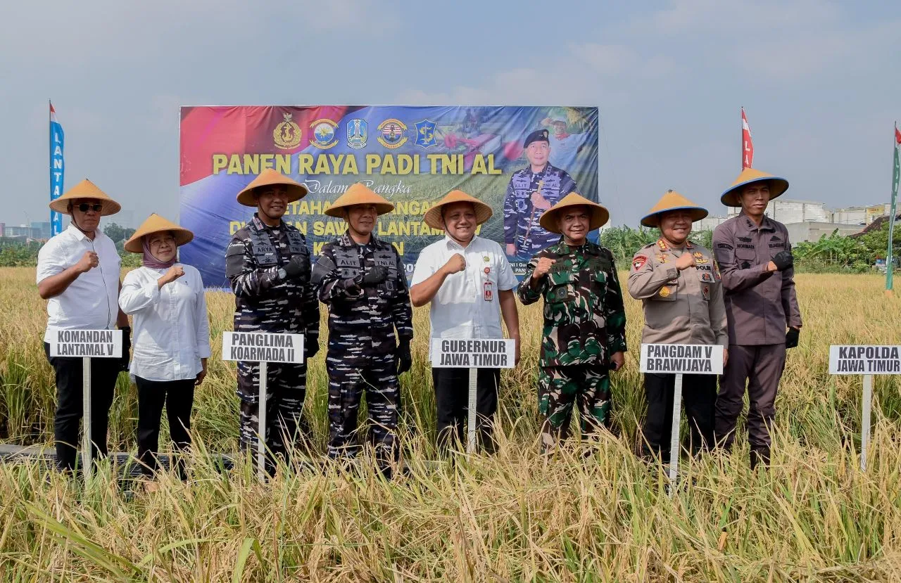 Pemkot Surabaya dan TNI AL Gelar Panen Raya Padi Serentak di Kenjeran