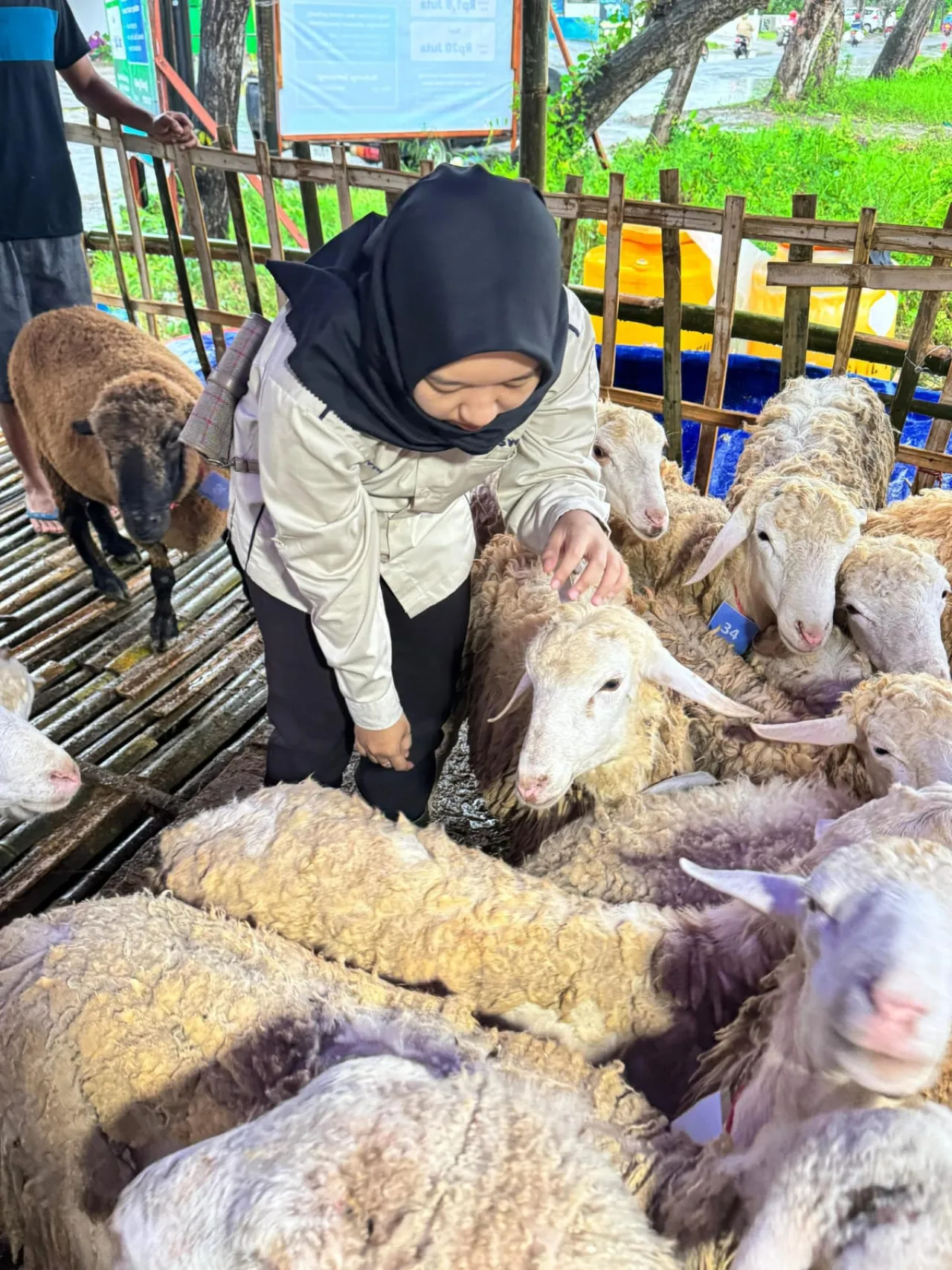 Jelang Idul Adha, Pemkab Lamongan Pastikan Hewan Kurban Sehat