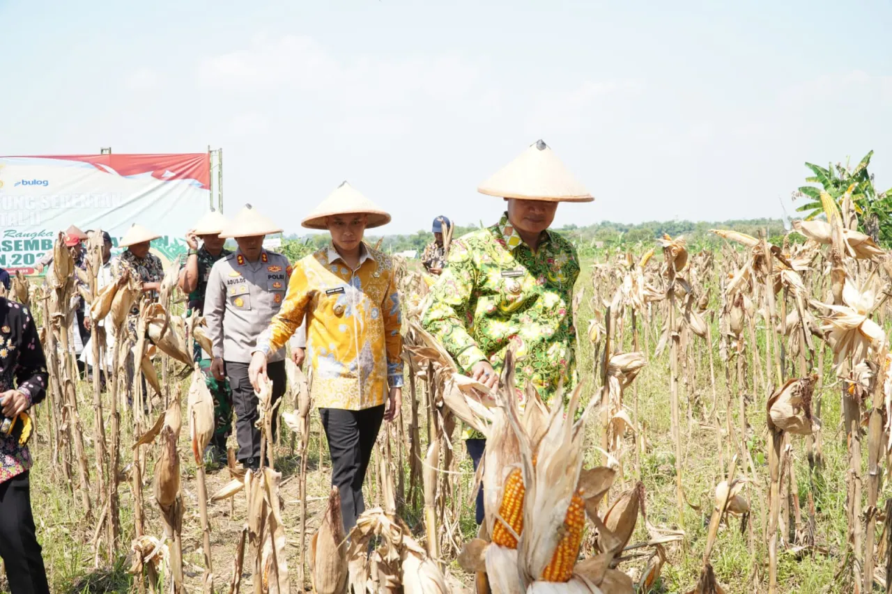 Lamongan Akan Dibangun Industri Pengelolaan Pakan Ternak Terbesar Se-Asia Tenggara