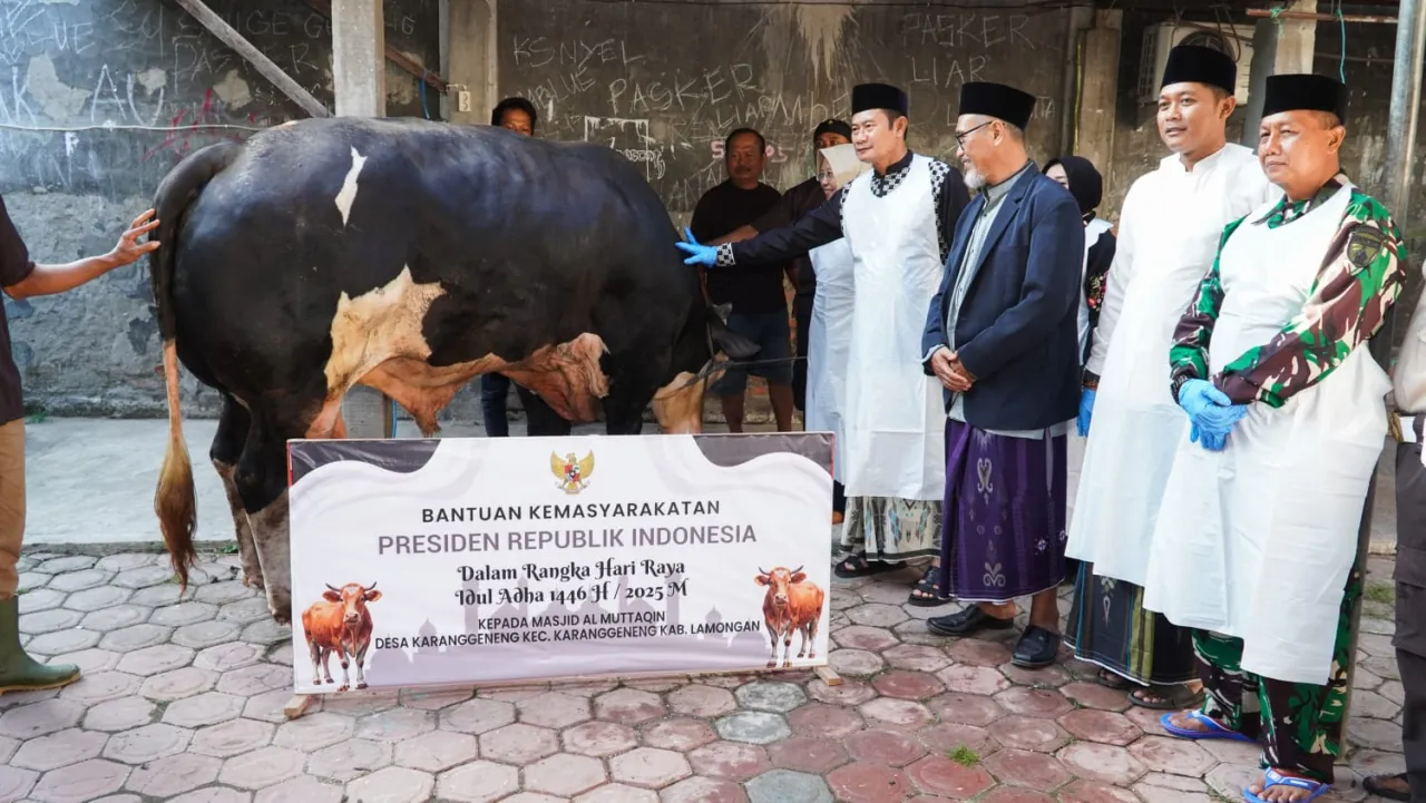 Bupati Lamongan Serahkan Sapi Kurban Bantuan Presiden RI Prabowo Subianto